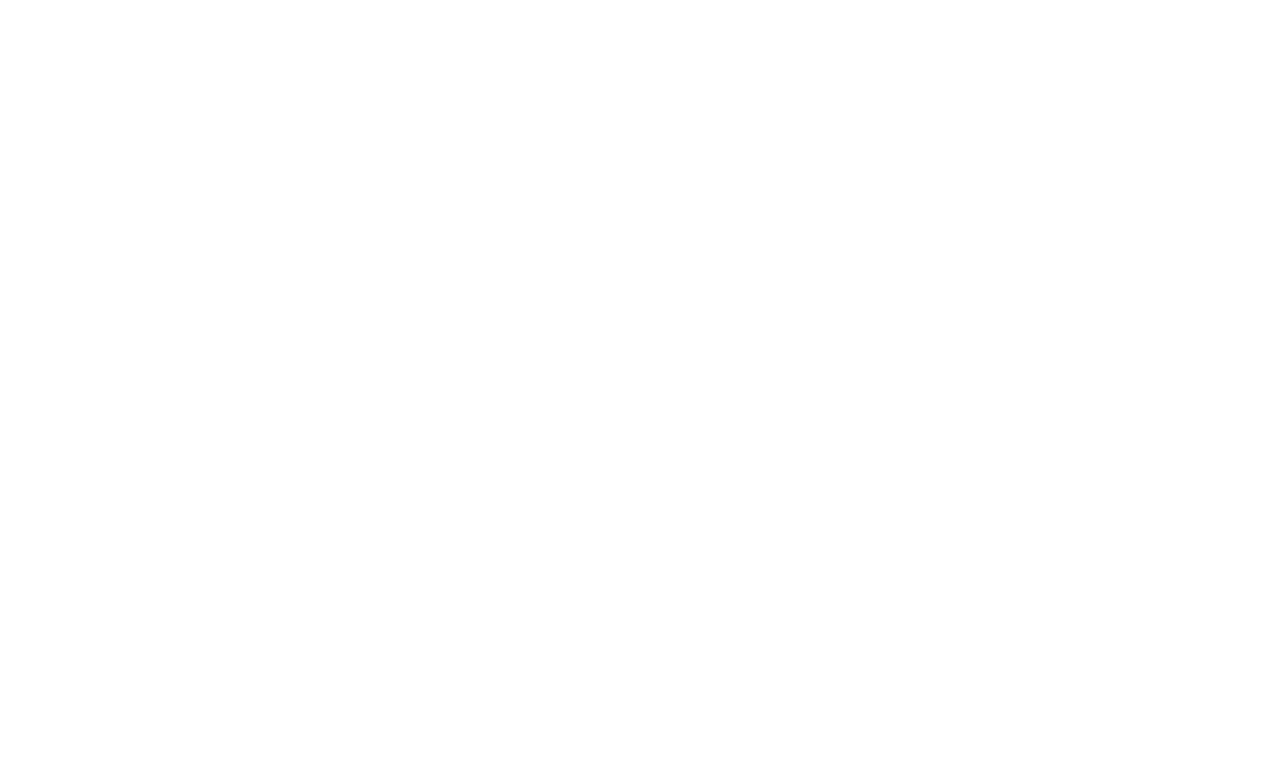 gueardians energy logo white (1)